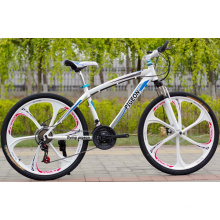 Magnesium Alloy One Piece Mountain Bicycle (FP-MTB-ST017)